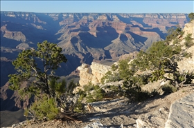 Grand Canyon NP